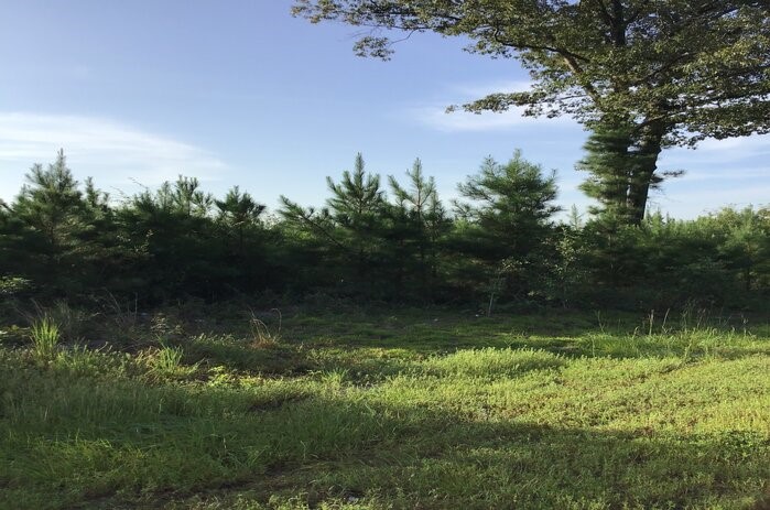 15.6+/- acres in Cumberland Co., NC