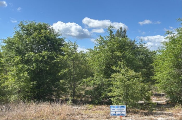 Cumberland Co NC - 9.7 Acres - Lot M