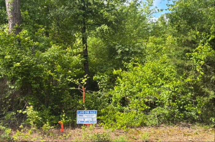 Cumberland Co, NC - 12.1 Acres - Lot K